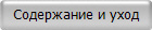 Содержание и уход